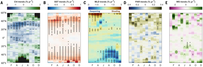 z202510295.png z202510295.png