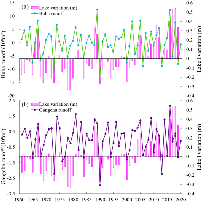 z202511035.png z202511035.png