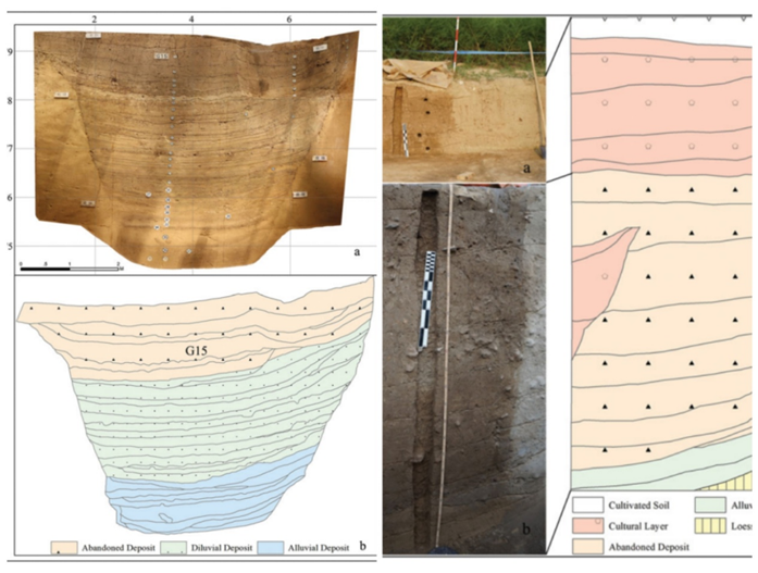 z202512033.png z202512033.png