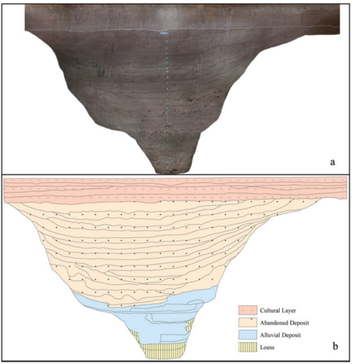 z202512035.png z202512035.png